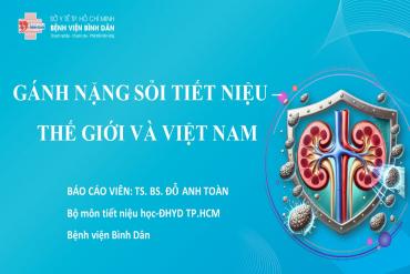 Gánh nặng sỏi tiết niệu thế giới và Việt Nam