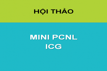 HỘI THẢO: Lấy sỏi thận qua da đường hầm nhỏ/Phẫu thuật nội soi cắt một phần thận dùng ICG